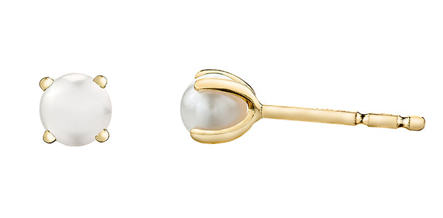 Yellow Gold 10kt Pearl Stud Earrings 4mm