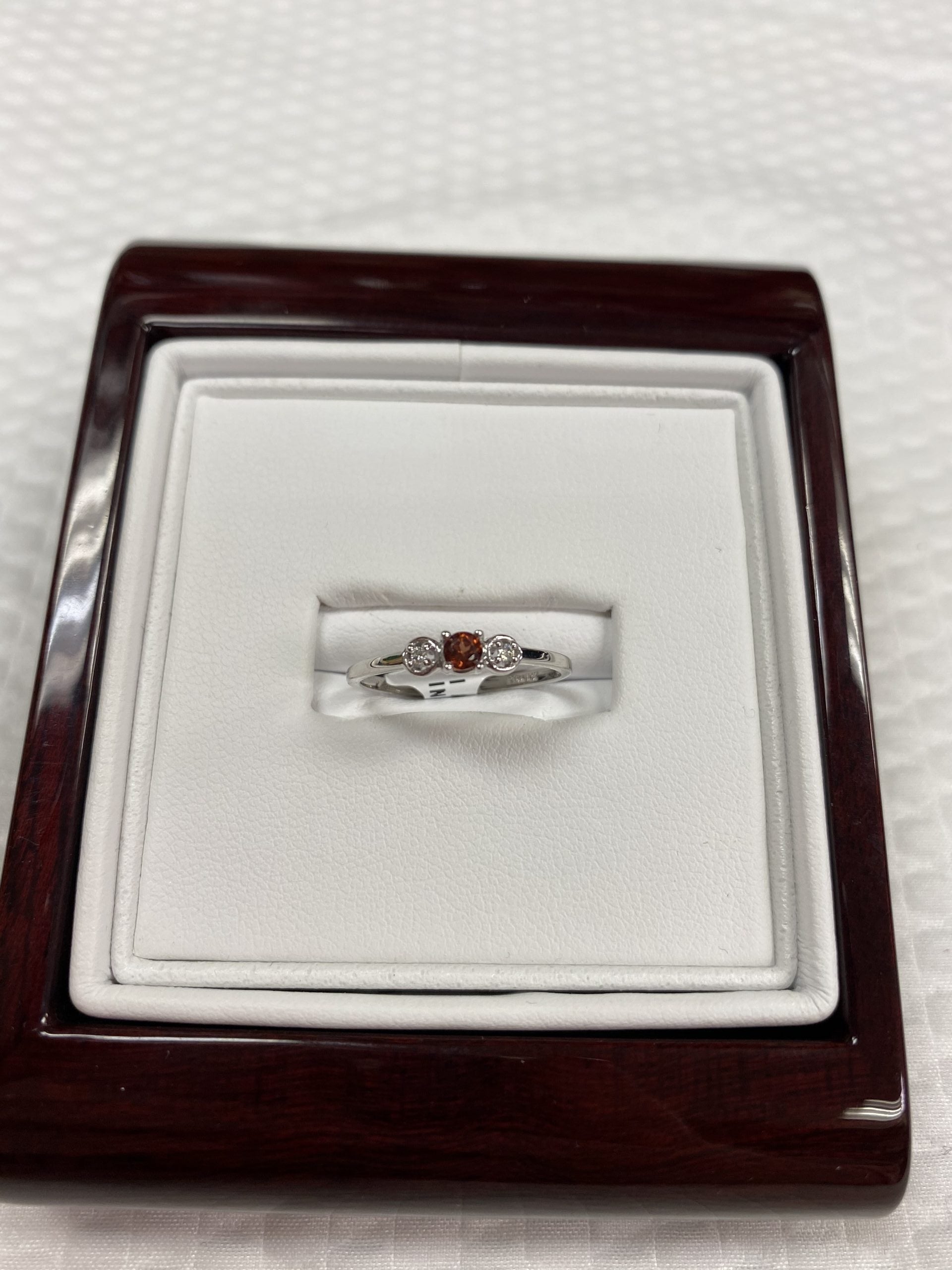 10kt White Gold Diamond. and Garnet ring