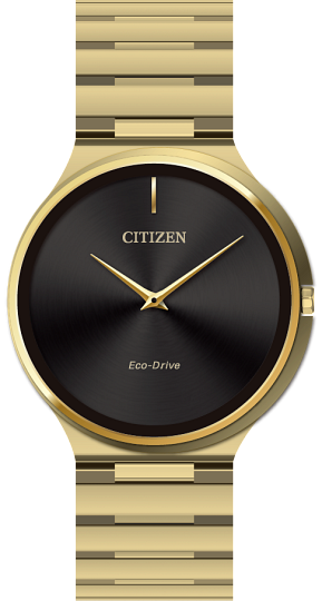 men's citizen eco-drive watch
