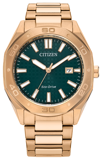 men's citizen eco-drive watch